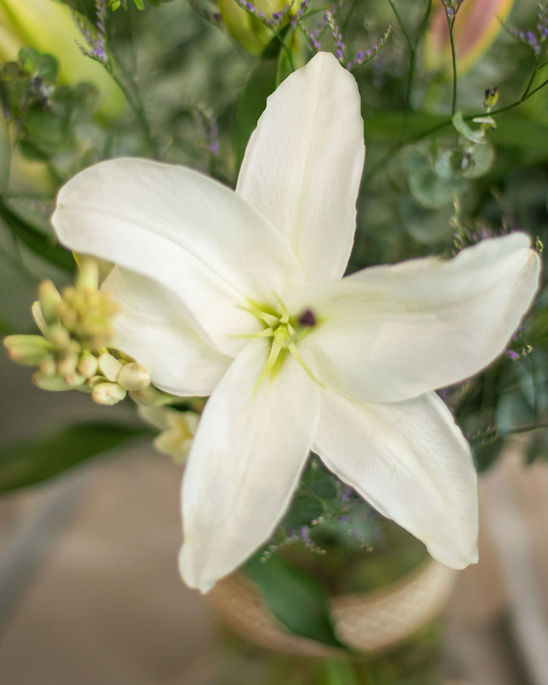 Fragrant Flower