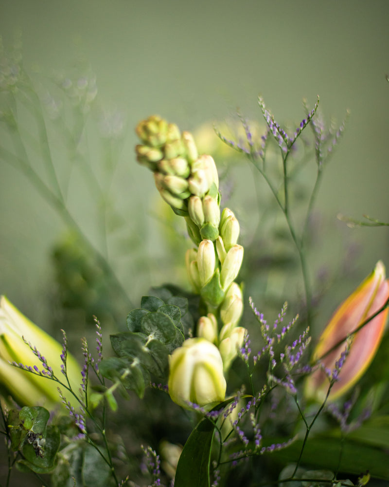 Fragrant Flower