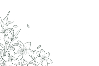 Flower Illustration