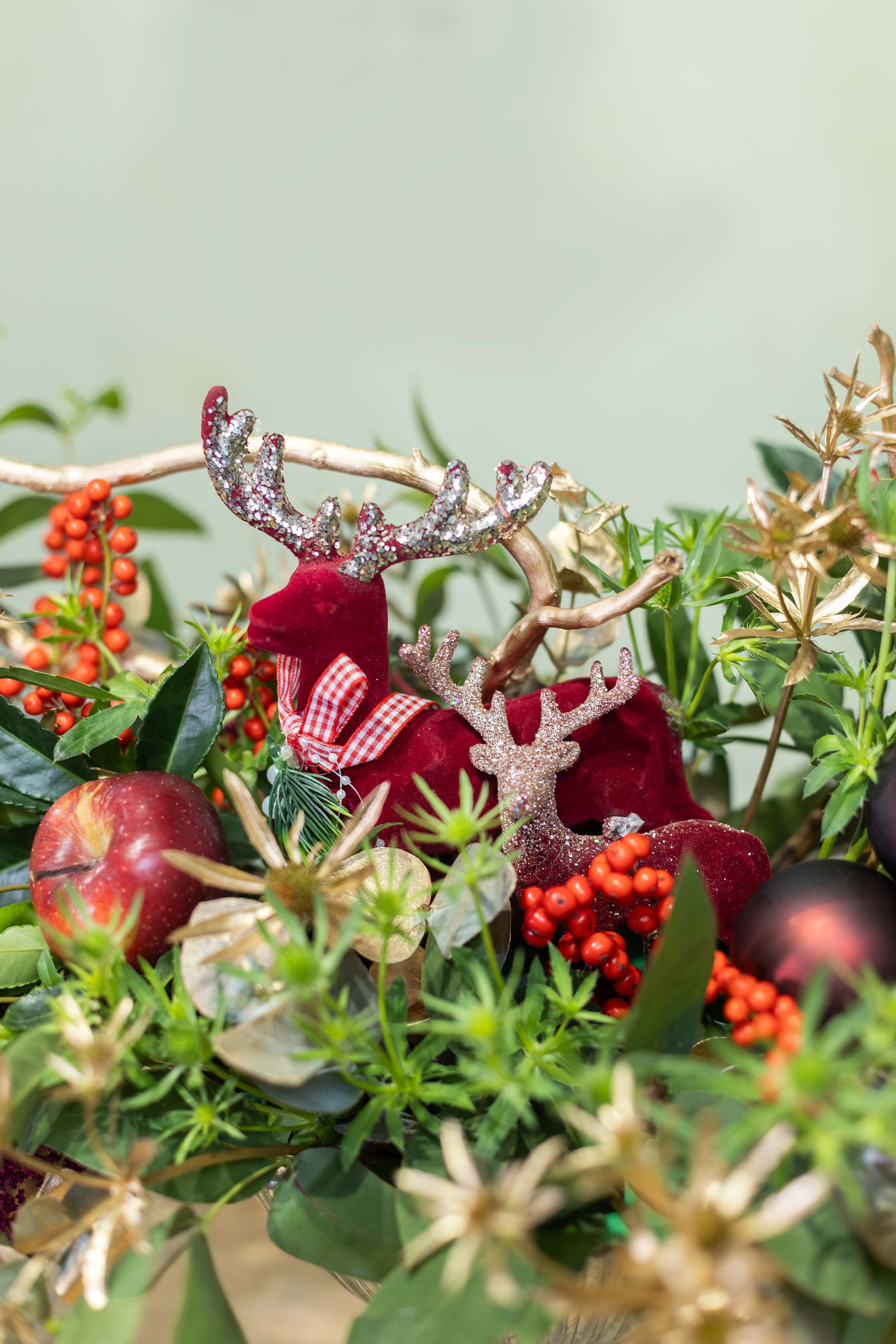 The Ultimate Ready-to-Celebrate Christmas Combo!