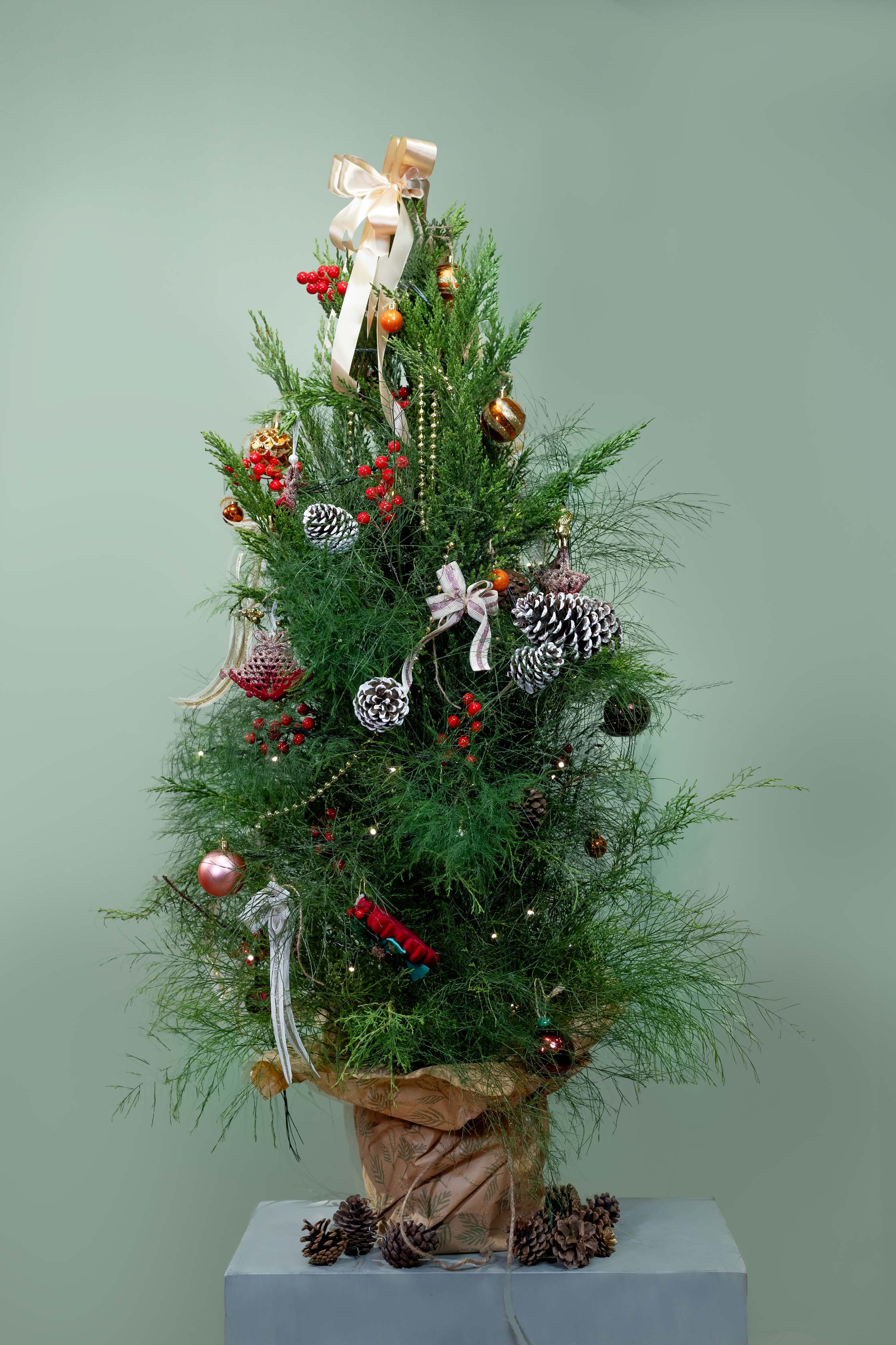 The Ultimate Ready-to-Celebrate Christmas Combo!