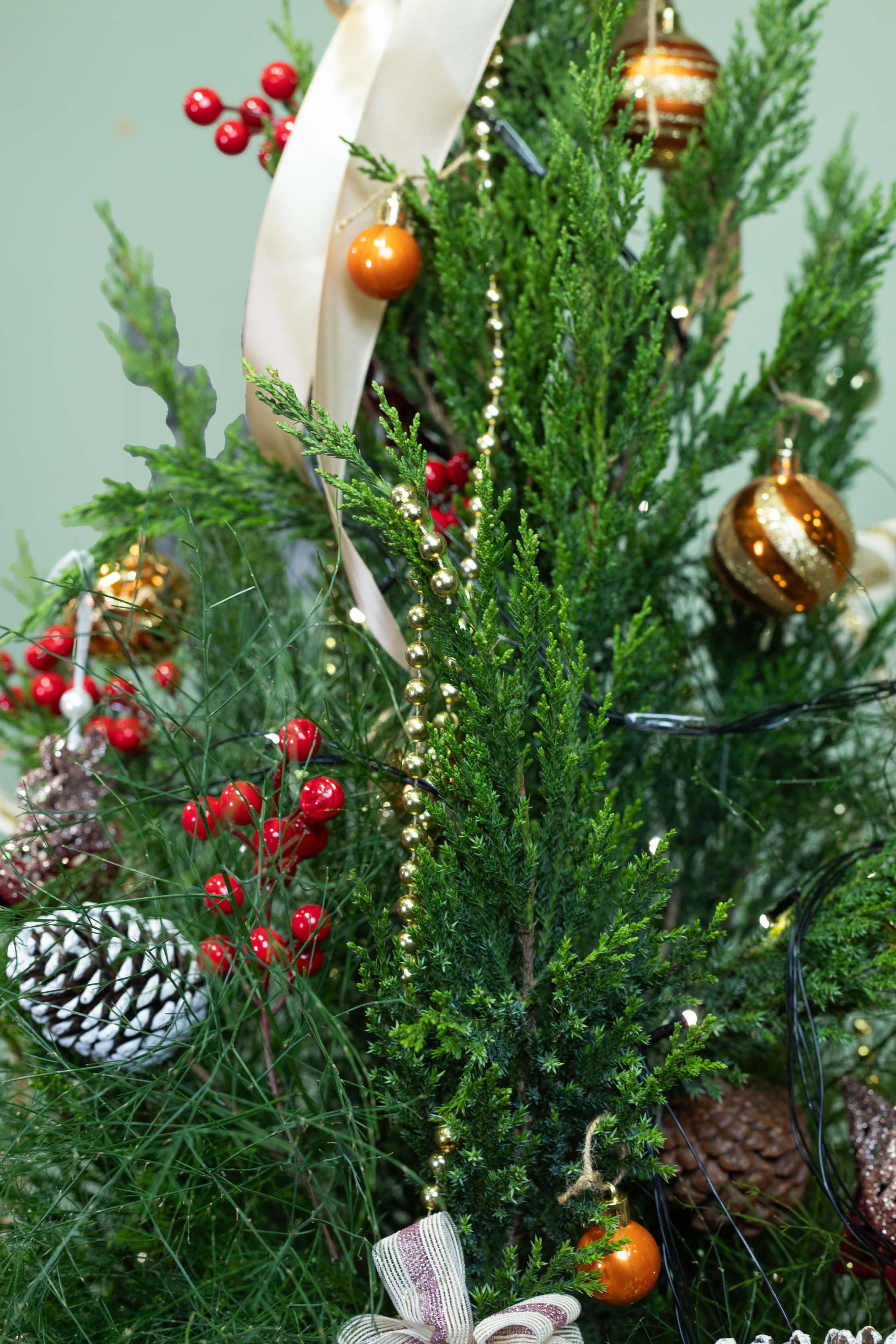 The Ultimate Ready-to-Celebrate Christmas Combo!