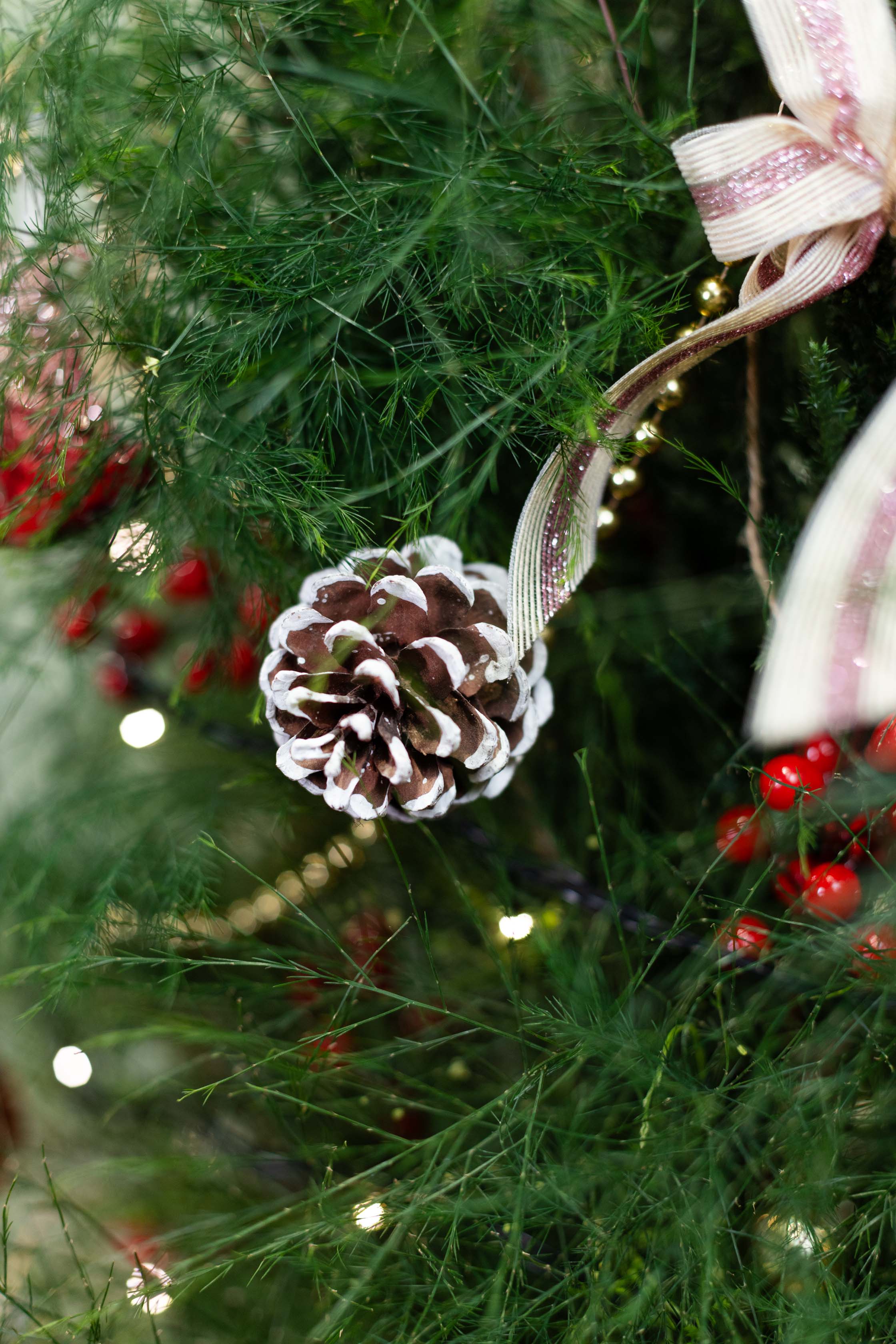 The Ultimate Ready-to-Celebrate Christmas Combo!