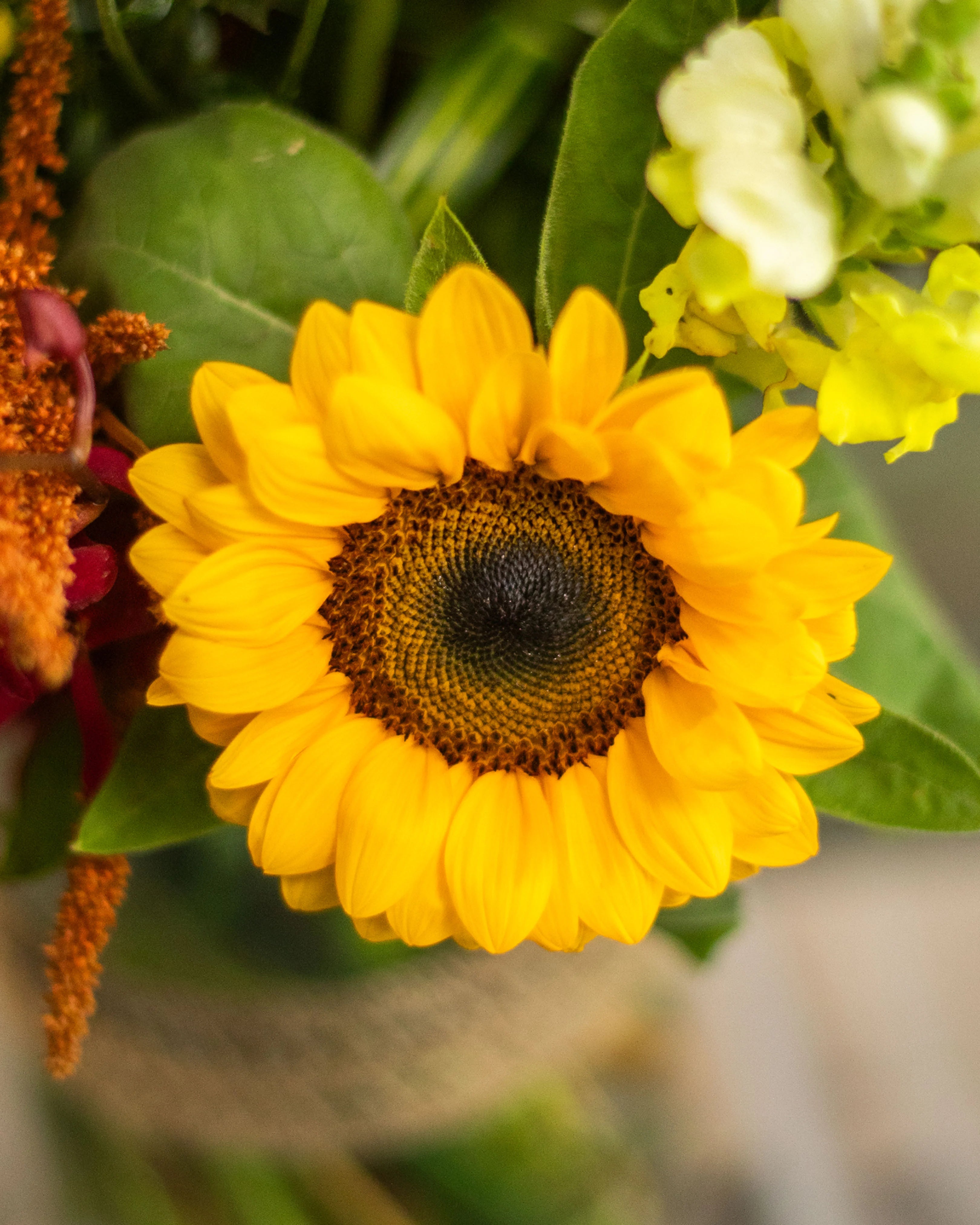 Florist Choice Vibrant