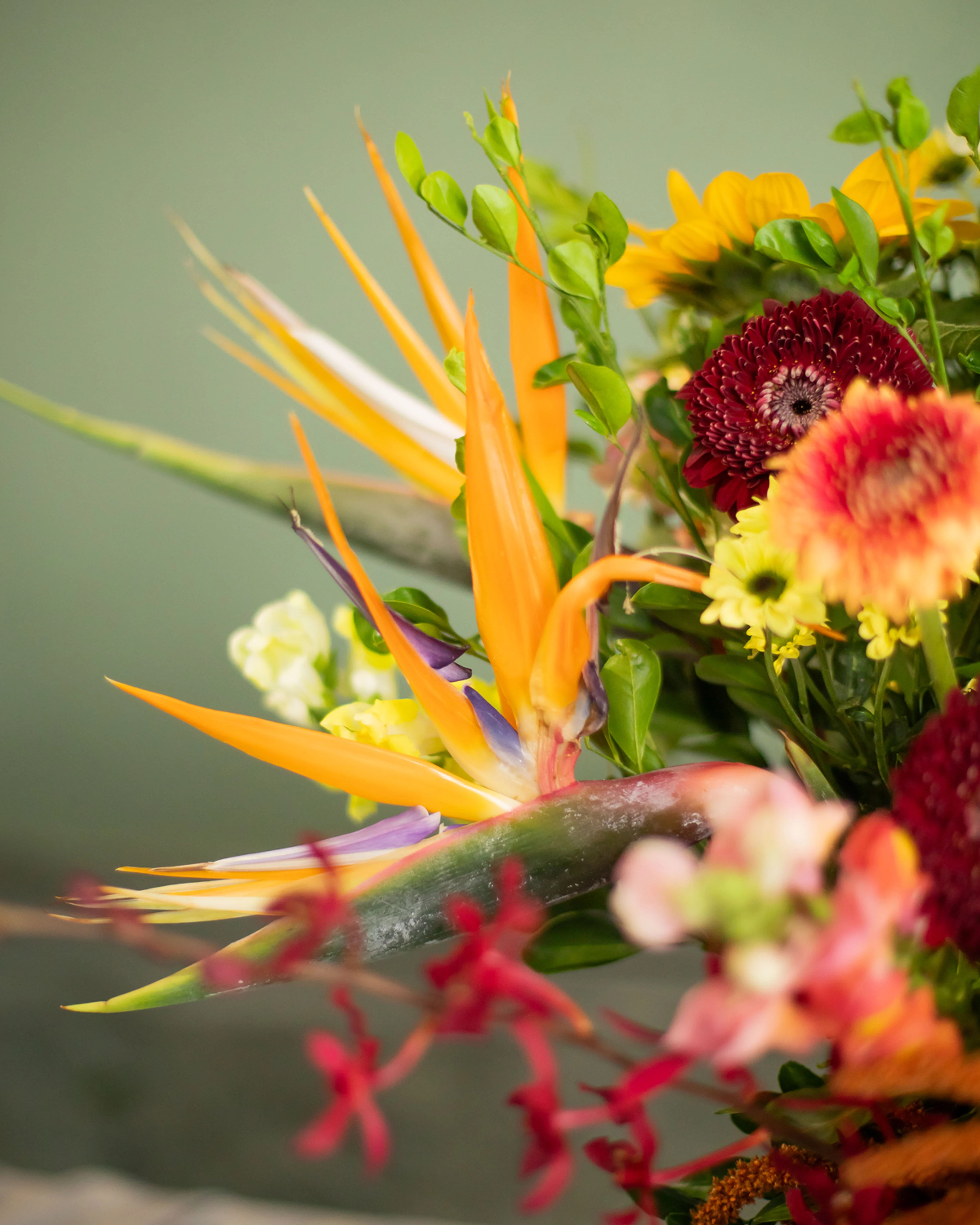 Florist Choice Vibrant