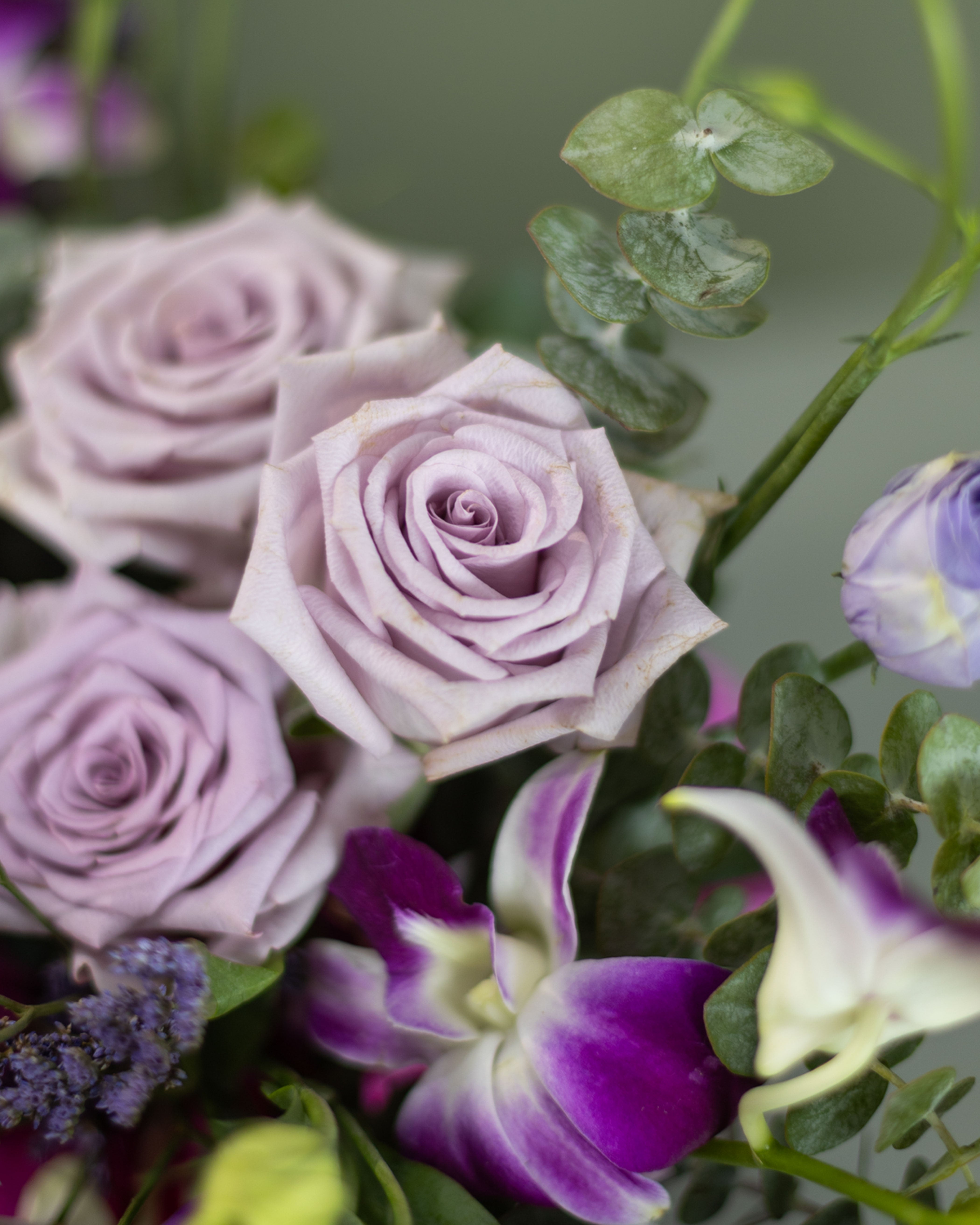 Wild Amethyst – Flower Power India