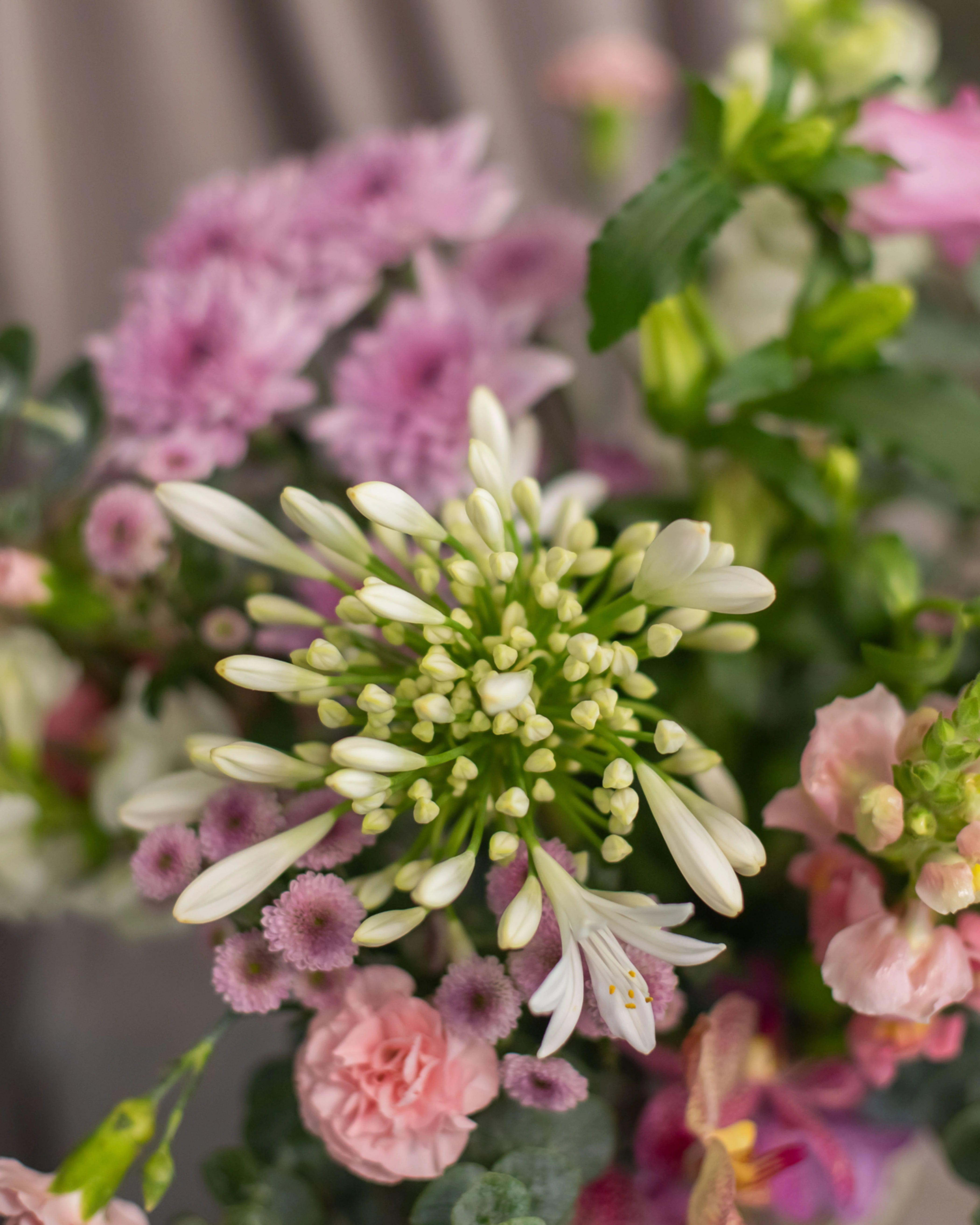 Florist Choice Pastel