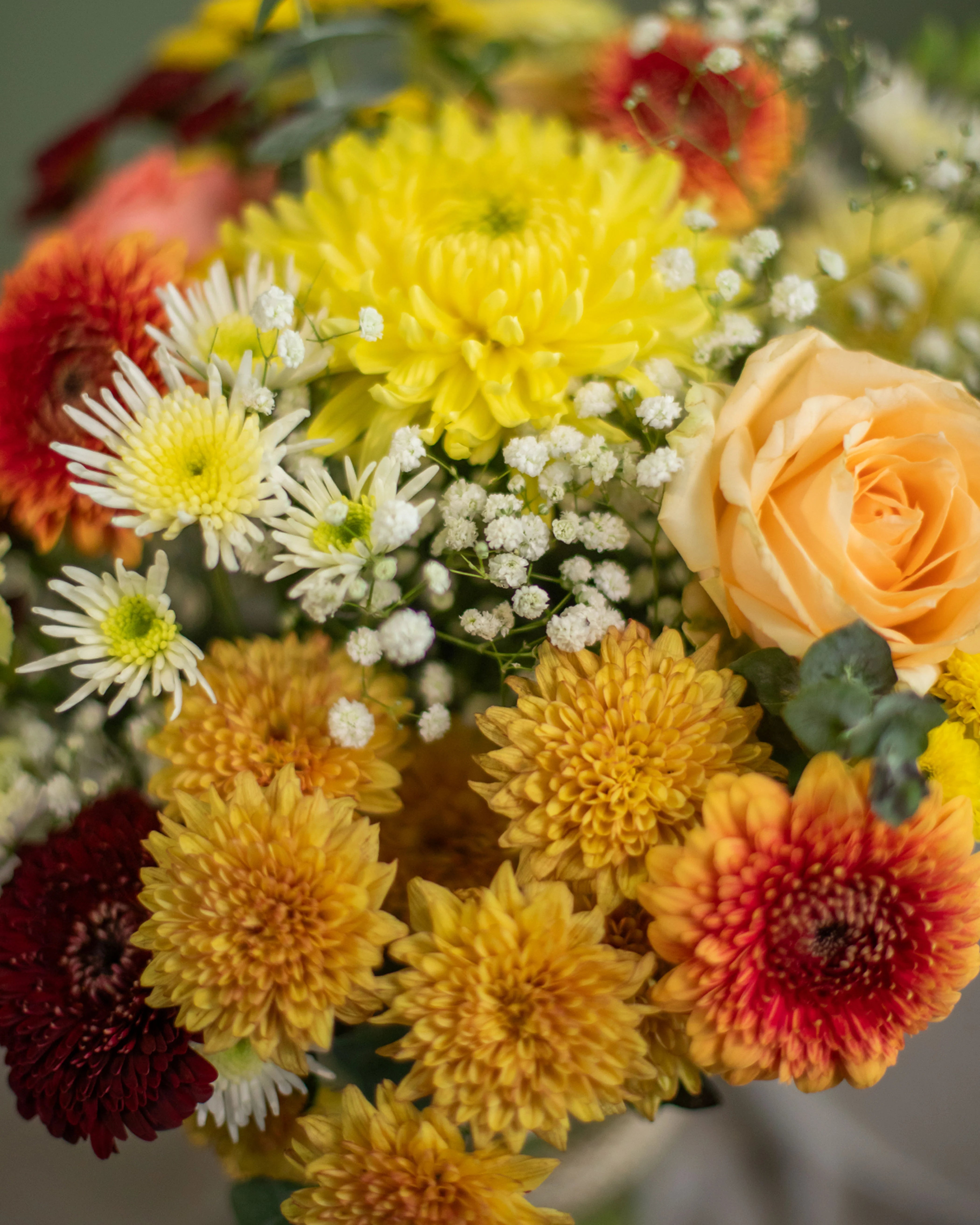 Florist Choice Vibrant