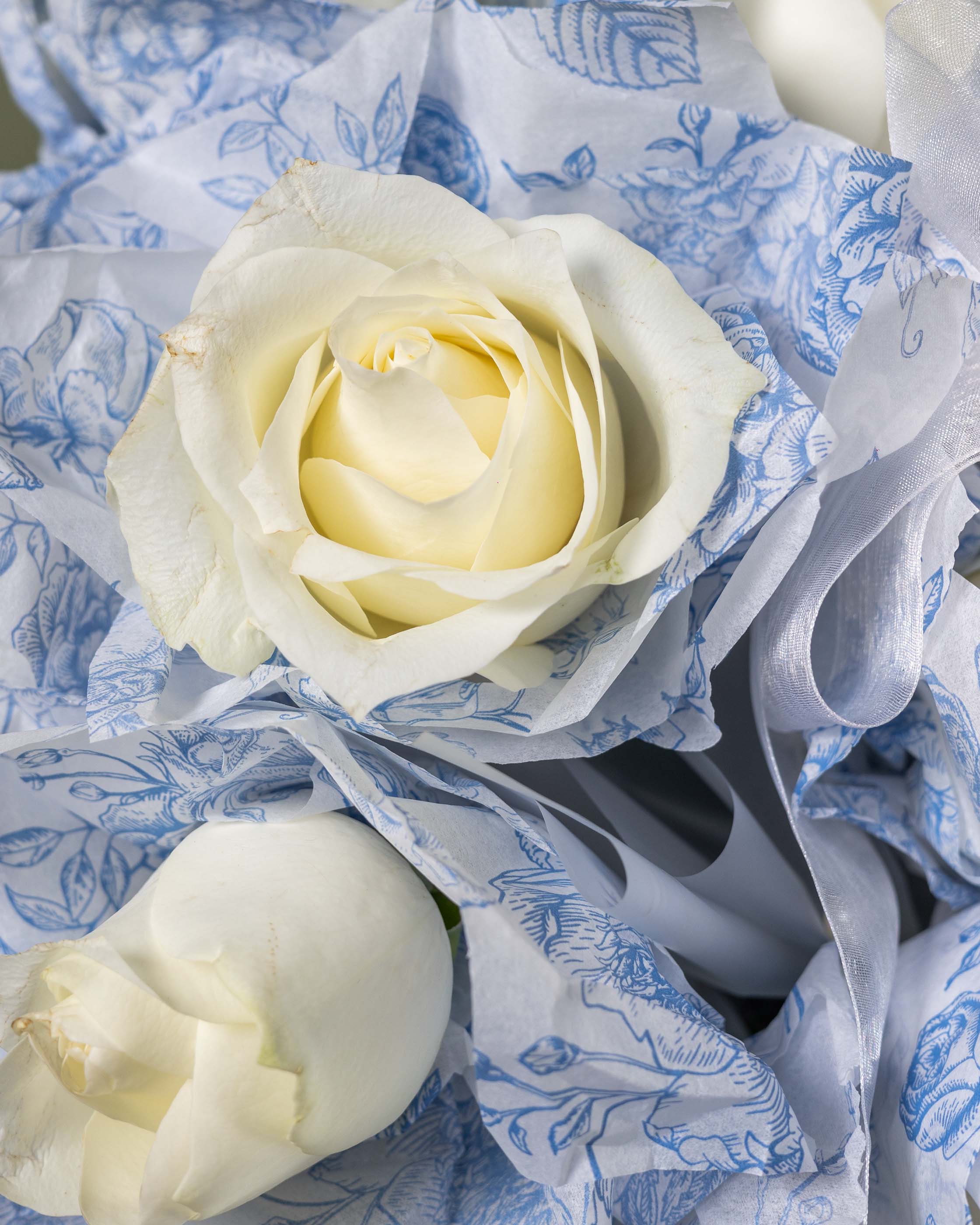 PORCELAIN DREAM