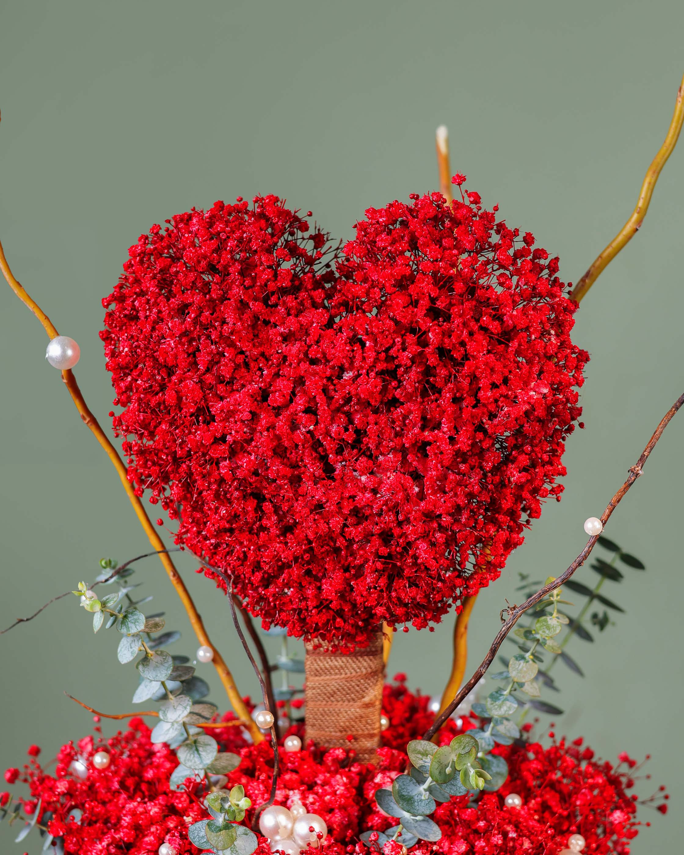 HEART OF THE FOREST