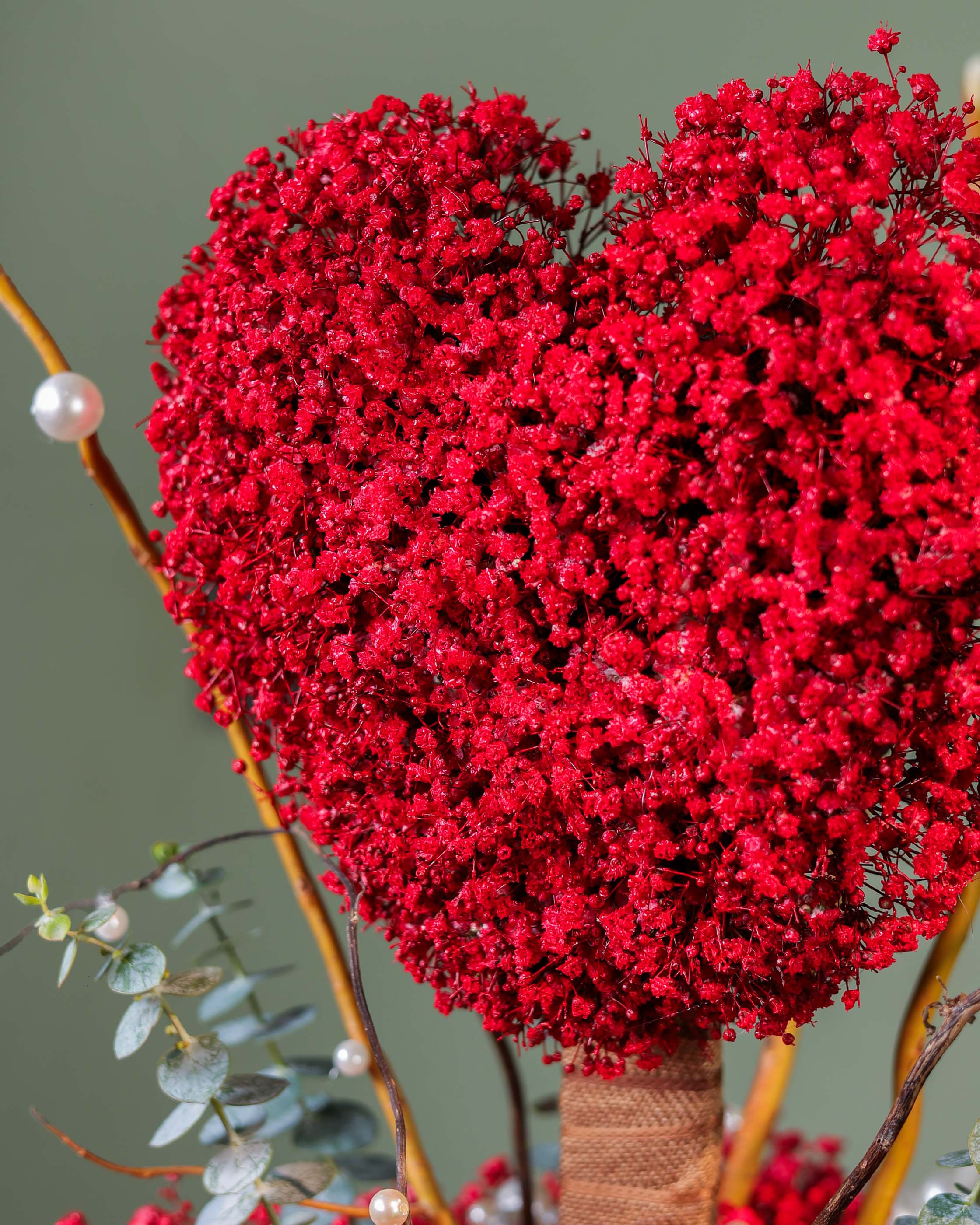 HEART OF THE FOREST